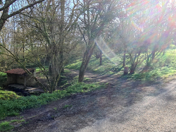 Bungypump-Sport Santé Nature