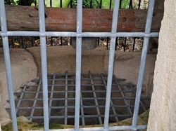 GRVP du dimanche 24 mars