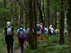 GUIZENGEARD 26 juin 2024