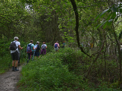 GUIZENGEARD 26 juin 2024