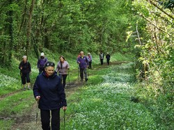 Marche nordique à JUICQ