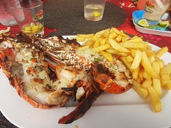 MARTINIQUE FEVRIER 2024