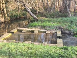 melting-pot belle photos MN