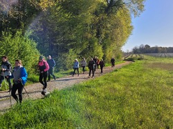 MN au Trail des Verts