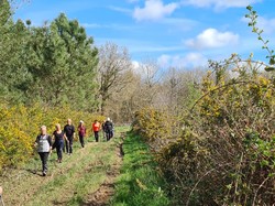 Nordique Printanière