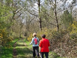 Nordique Printanière