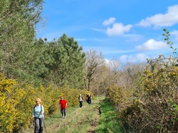 Nordique Printanière