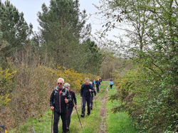 Nordique Printanière