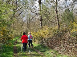 Nordique Printanière