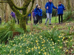 Nordique Printanière