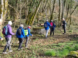 Nordique Printanière