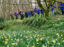 Nordique Printanière