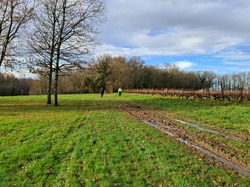 Rando 19-12-24 Fontdouce