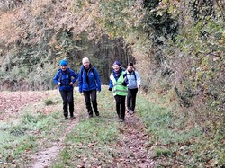 Rando du 20 nov Beurlay