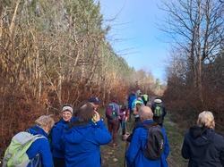 Rando du 23 février St Bris des Bois