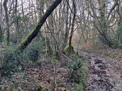 Rando du 30 janvier Villars les bois