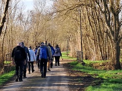 Rando du dim 16 février Taillebourg