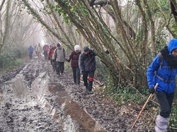 Rando du dimanche 2 février Fontc