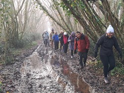 Rando du dimanche 2 février Fontc