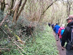 Rando du jeudi 03 avril 25 à Fontcouverte