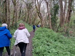 Rando du jeudi 03 avril 25 à Fontcouverte