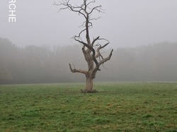 Rando Ecurat dle 17-11-24