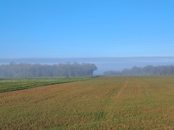 Rando La Chapelle des Pots 15-12-24