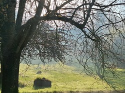 Rando La Chapelle des Pots 15-12-24