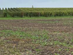 SITE DU FA 06 octobre 2024