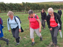 SITE DU FA 06 octobre 2024