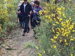 Sortie MN St Georges DDDN Lundi 08042024