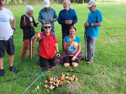 séance MN-BGY du 1er trim 2025-26