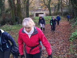 Téléthon 07-12-2024