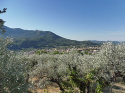 VAISON LA ROMAINE